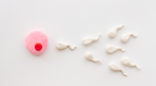 Ultimate Nutrition Guide for Better Egg Health